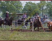 2NODS 0488